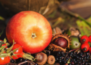 Soupe Pomme et Sureau